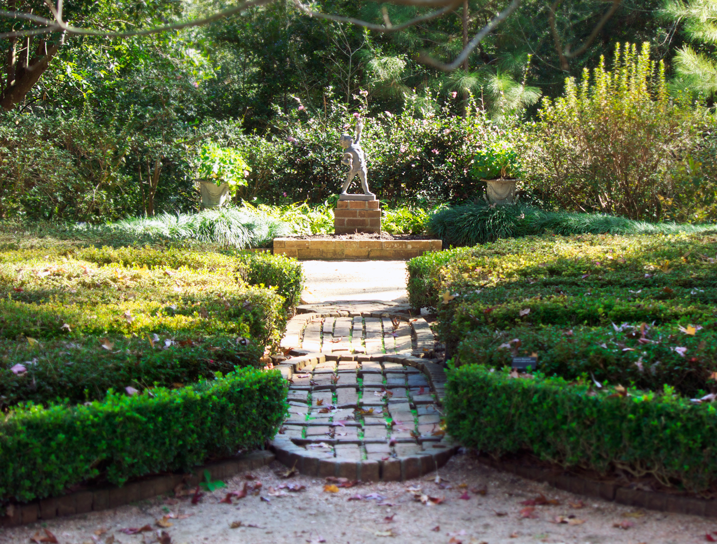 cherub in the butterfly rose garden - photo copyright Allison Beth Cooling