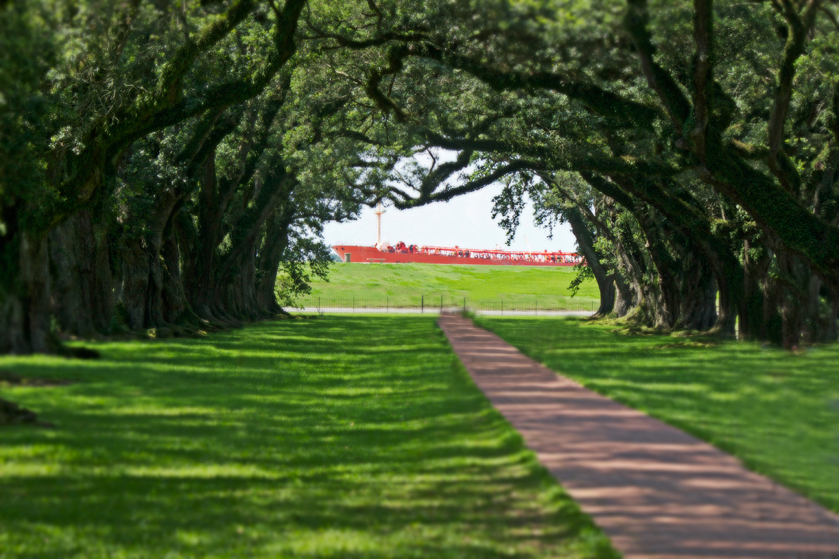 Oak valley Plantation -photo by Quiet Lion Creations