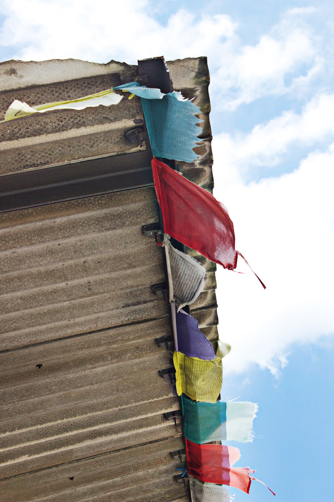 Rainbow Flags in New Orleans French Quarter- copyright Allison Cooling