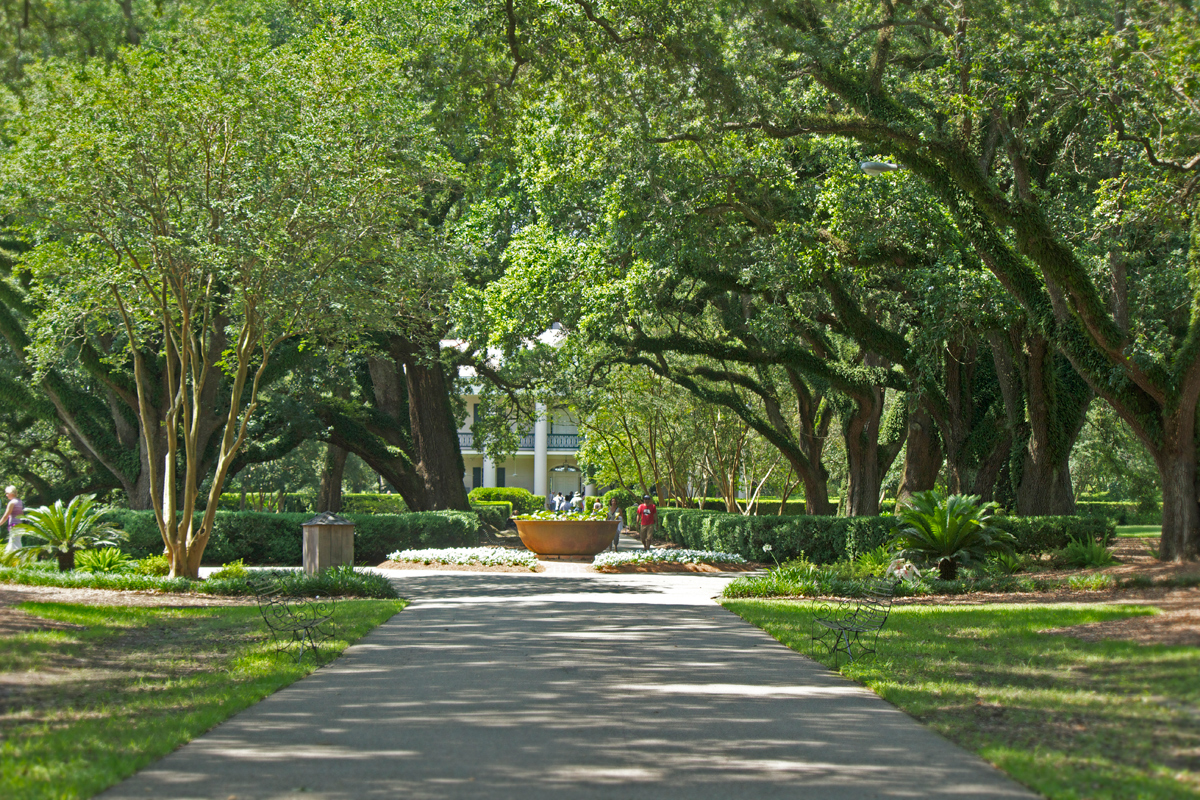 Oak valley Plantation -photo by Quiet Lion Creations