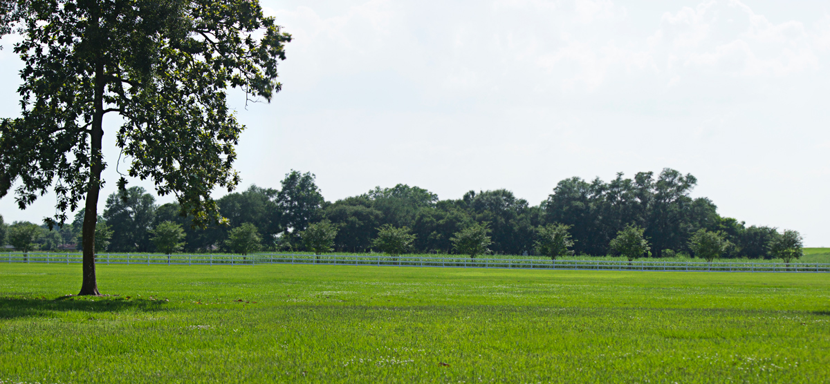 Oak valley Plantation -photo by Quiet Lion Creations