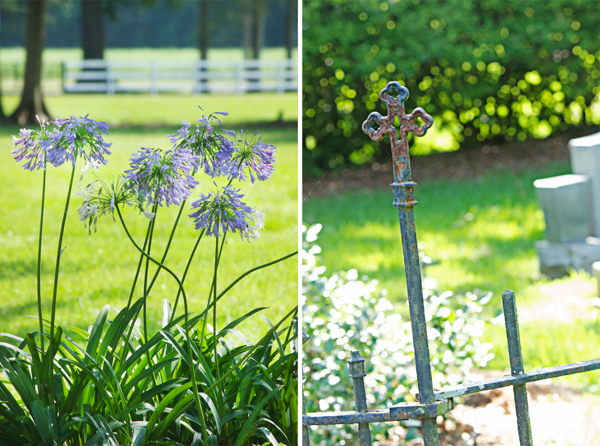 Oak valley Plantation -photo by Quiet Lion Creations