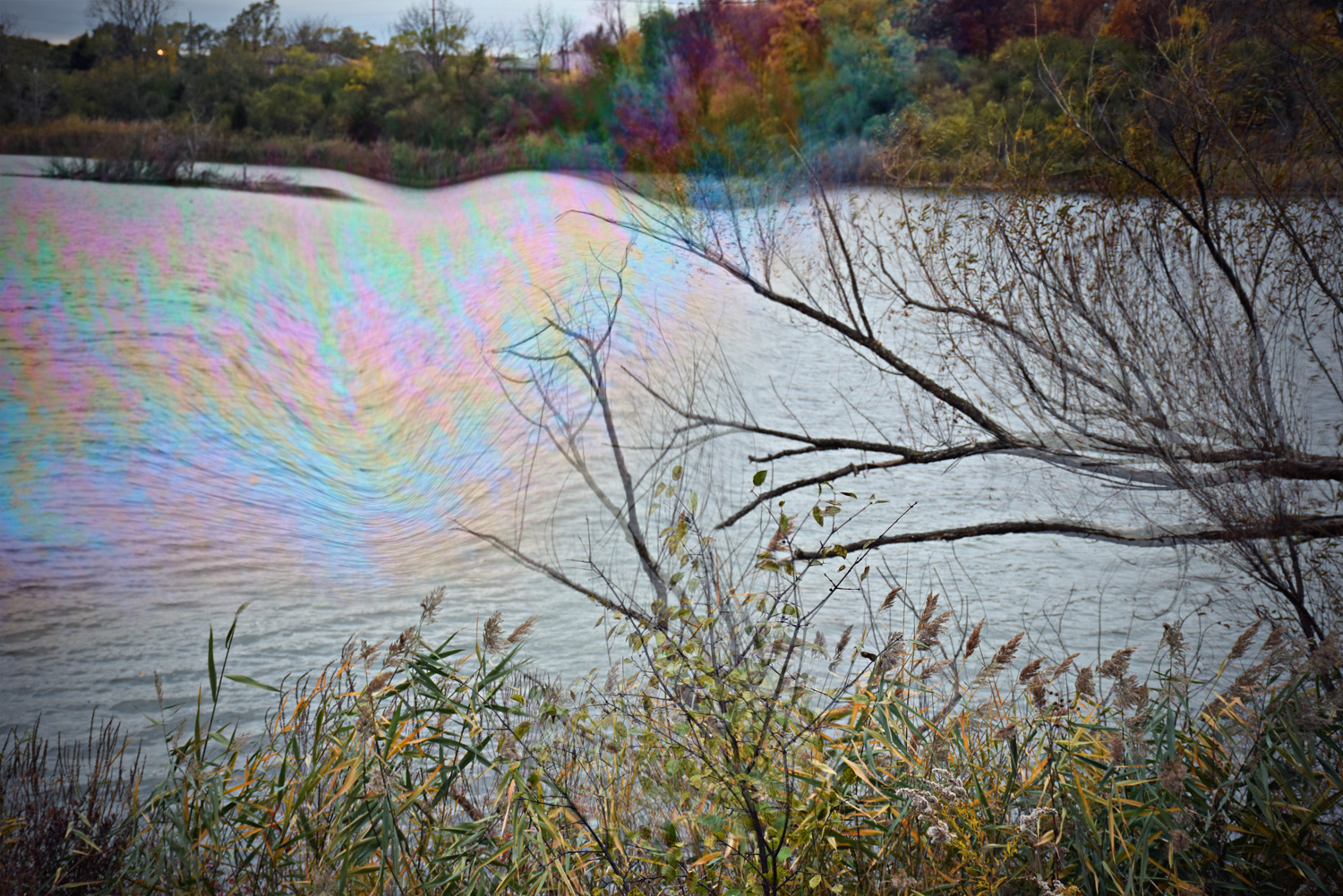 Grunge Fashion lookbook by Quiet Lion Creations quietlioncreations.com