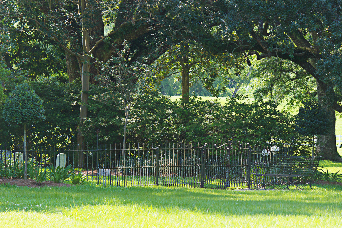 Oak valley Plantation -photo by Quiet Lion Creations