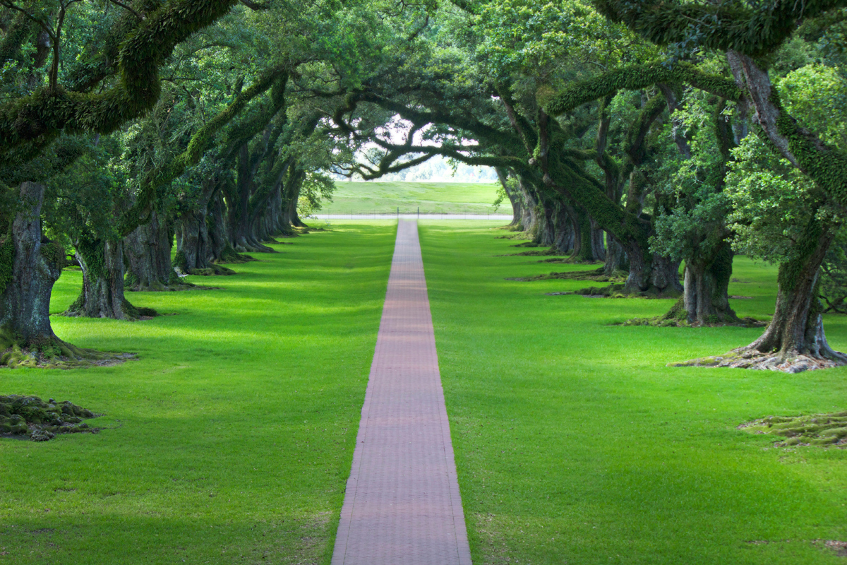 Oak valley Plantation -photo by Quiet Lion Creations