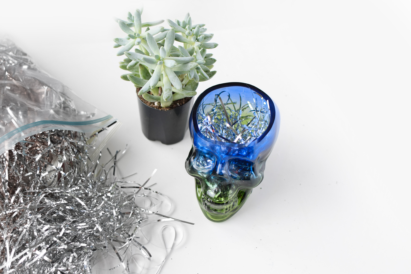 diy skull succulent quiet lion creations, quietlioncreations.com