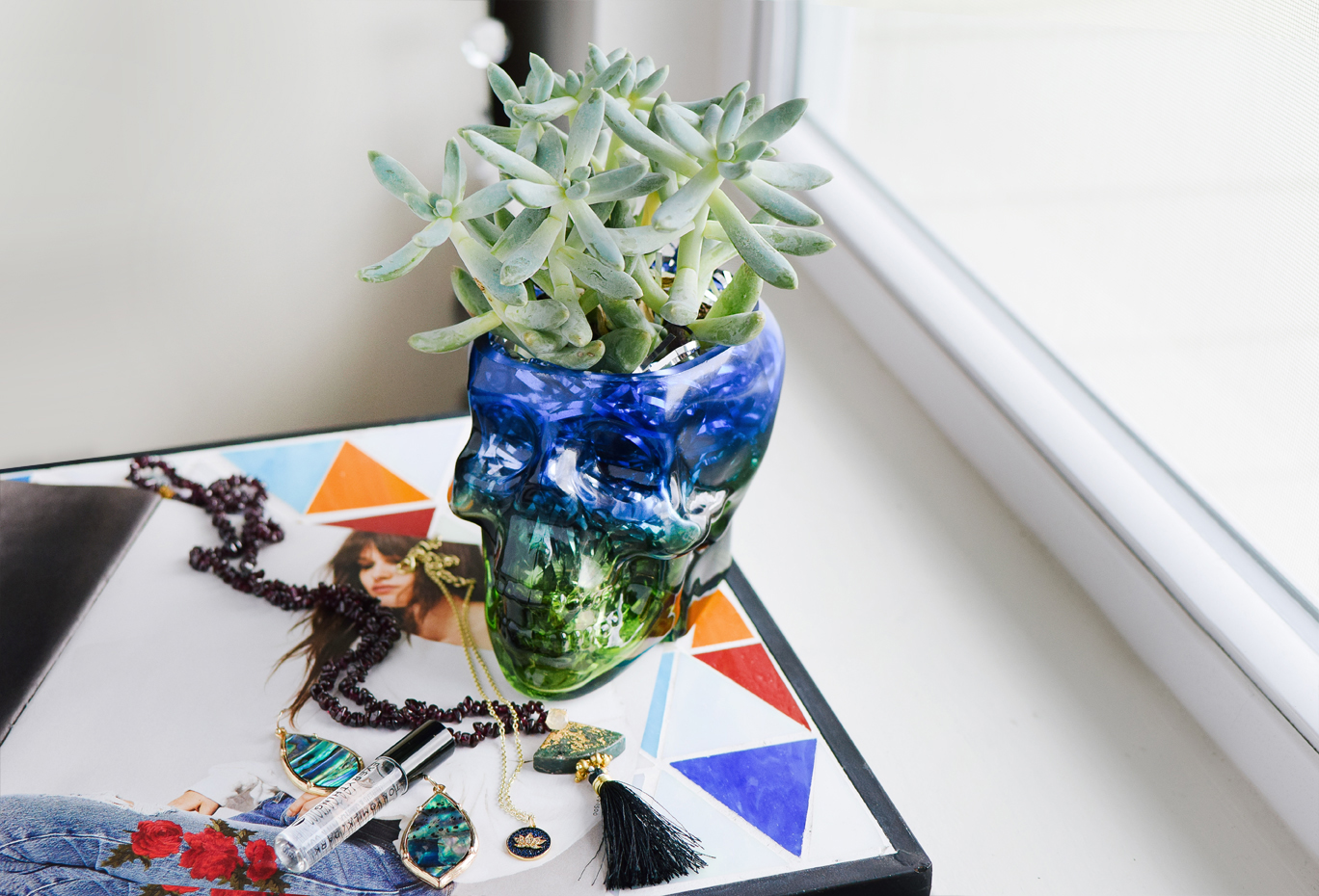 diy skull succulent quiet lion creations, quietlioncreations.com